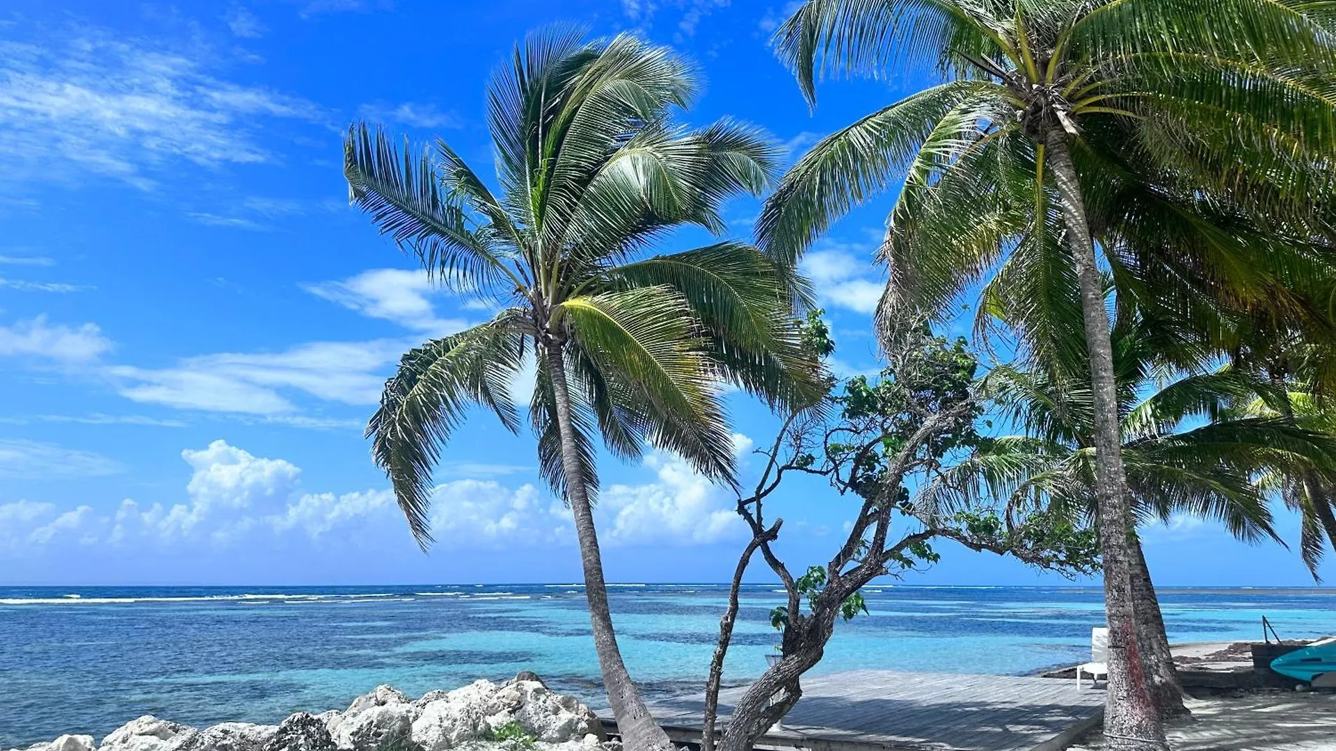 Appartement Unique : Pieds Dans L'Eau Face Au Lagon Sainte-Anne  Guadeloupe
